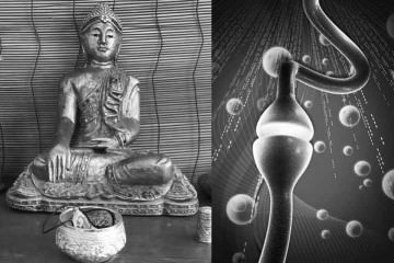 War Buddha Neurologe? – ein neuer „EQ-Appetizer“